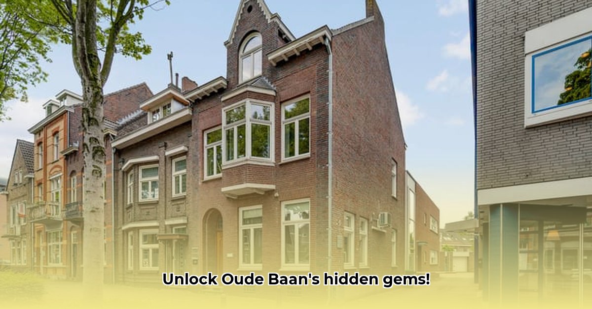 oude-baan-born
